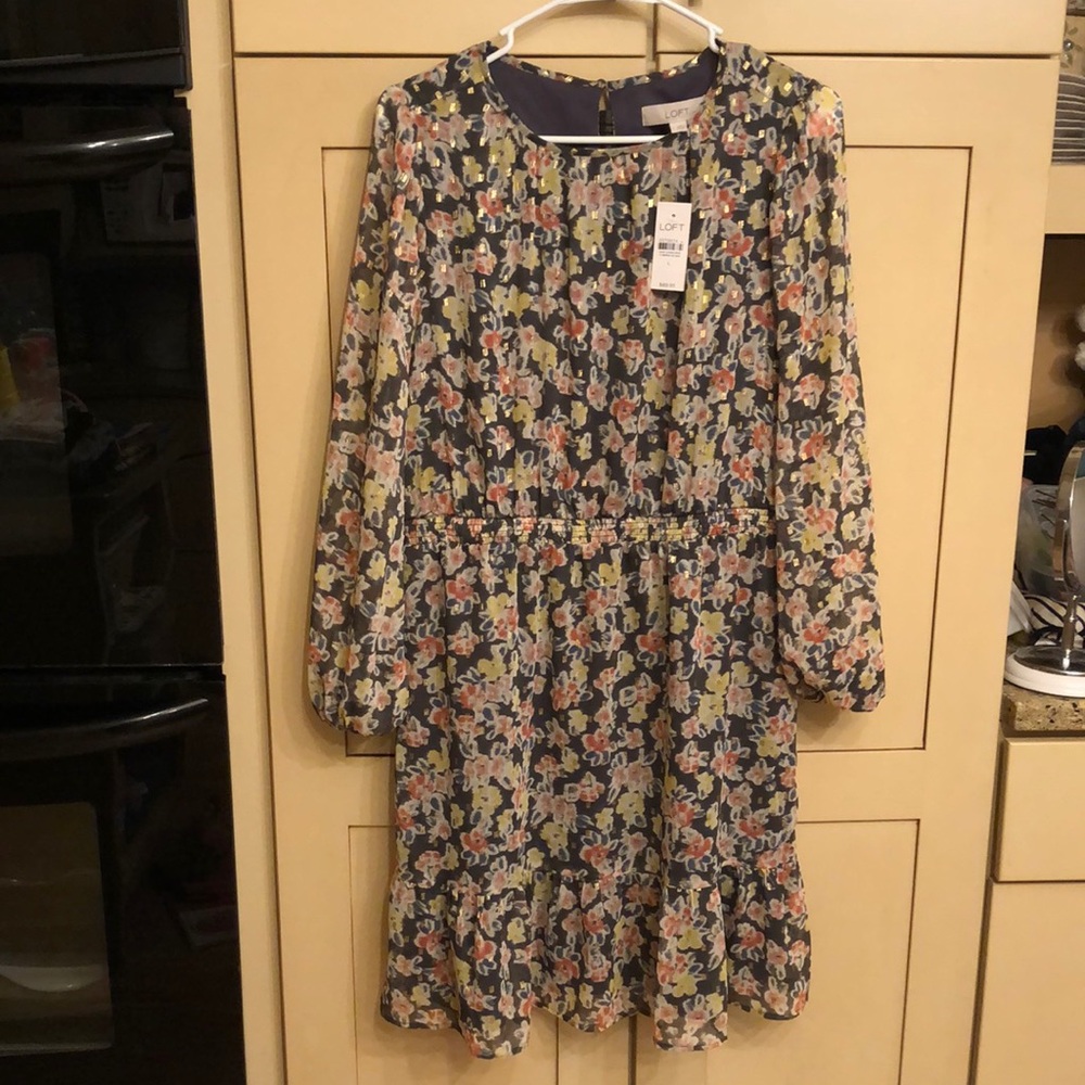 Loft NWT dress size Large
